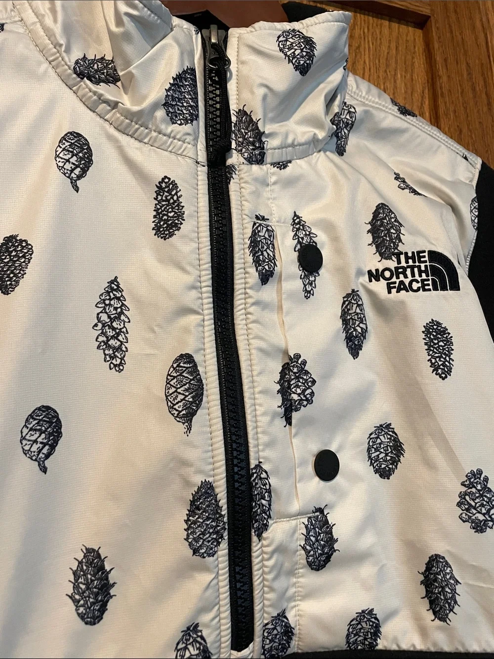 The North Face north face